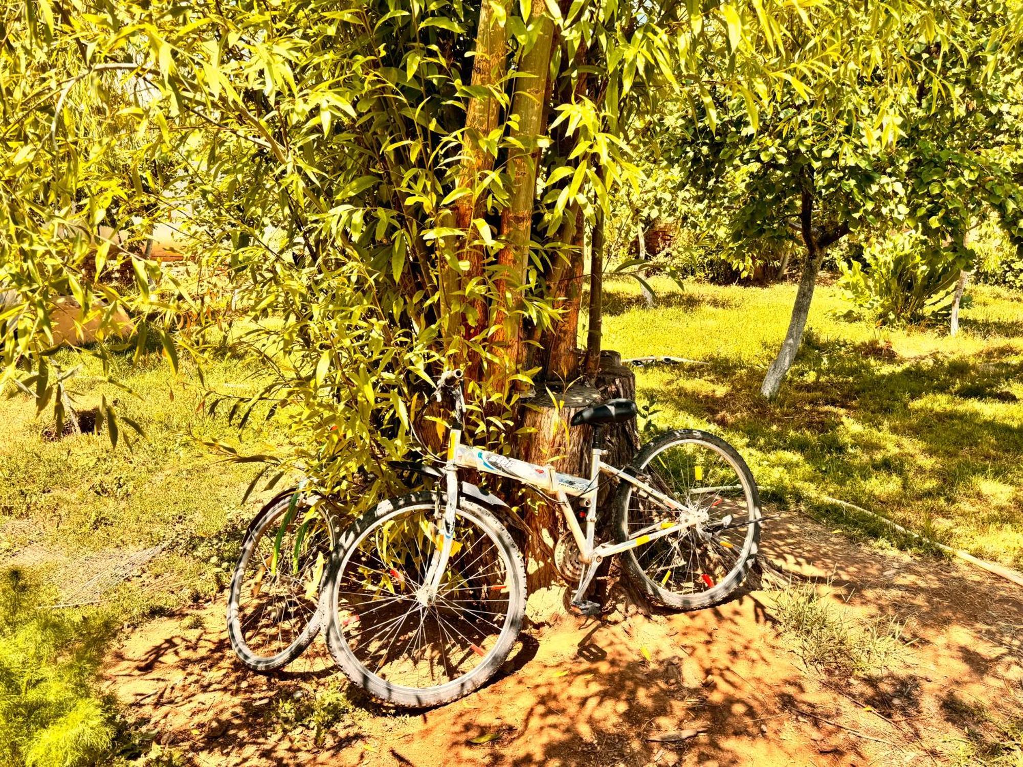 eco house summer garden Kaji-Say Buitenkant foto